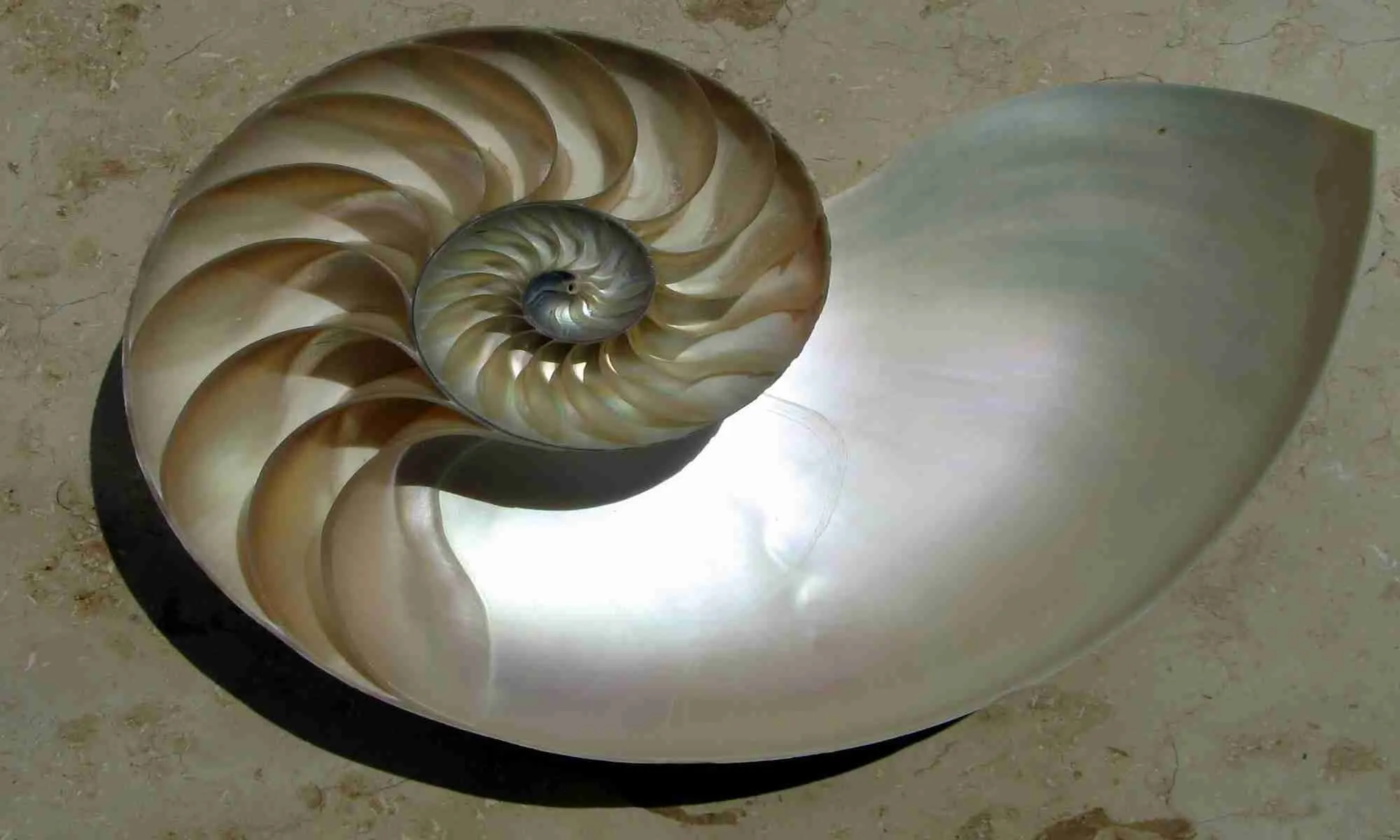 Fractal_Geometry