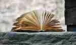 My Blog