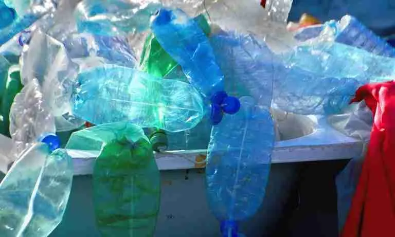 Plastic Pollution