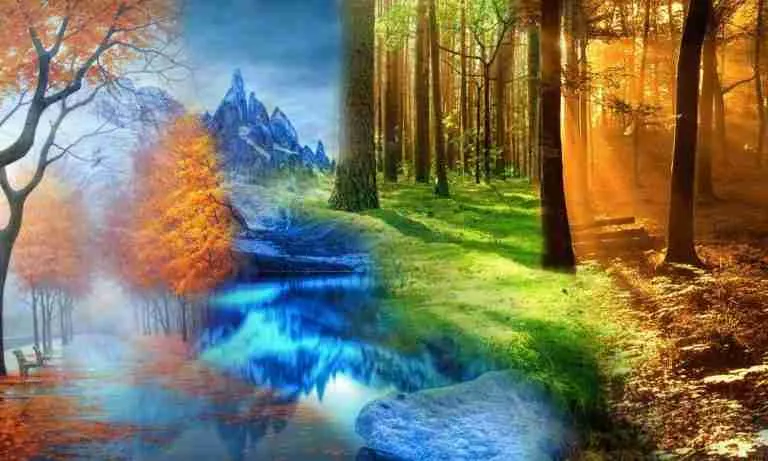 Four Seasons