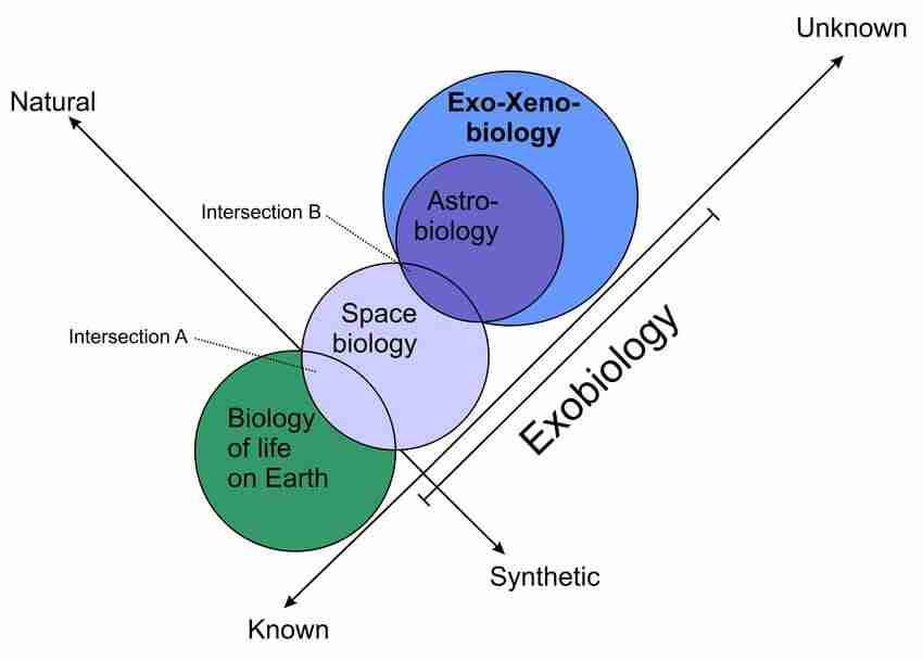 Exobiology