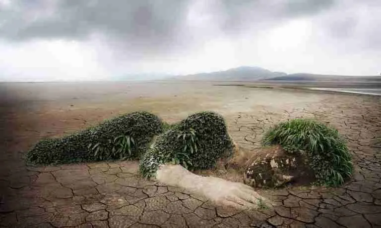 Climate Change