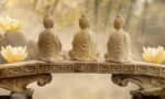Compassion & Philosophy