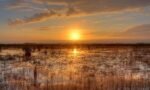 Everglades Sunset