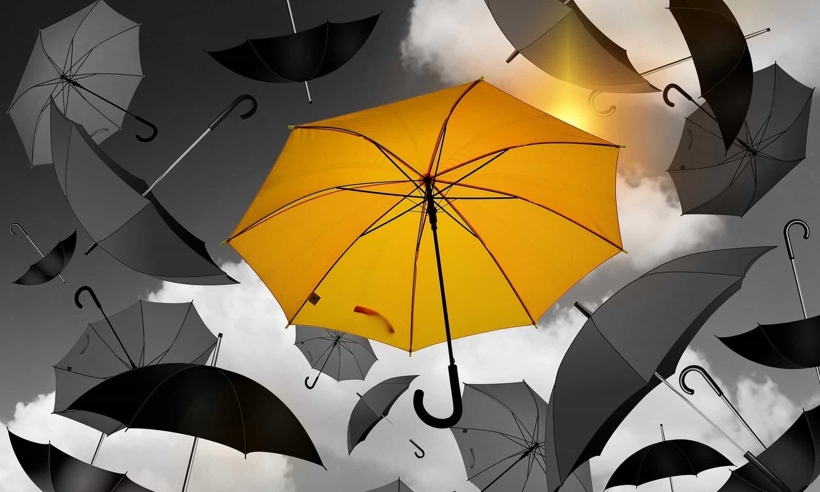 Yellow Umbrella