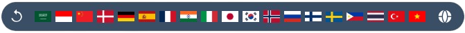Language Switcher