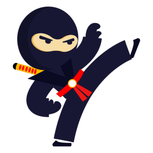 Ninja Character