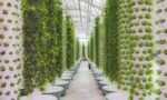 Vertical Farming Snapshot