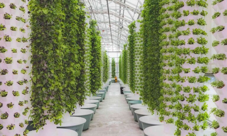 Vertical Farming Snapshot