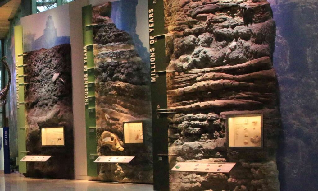 Deep Time Texas Museum