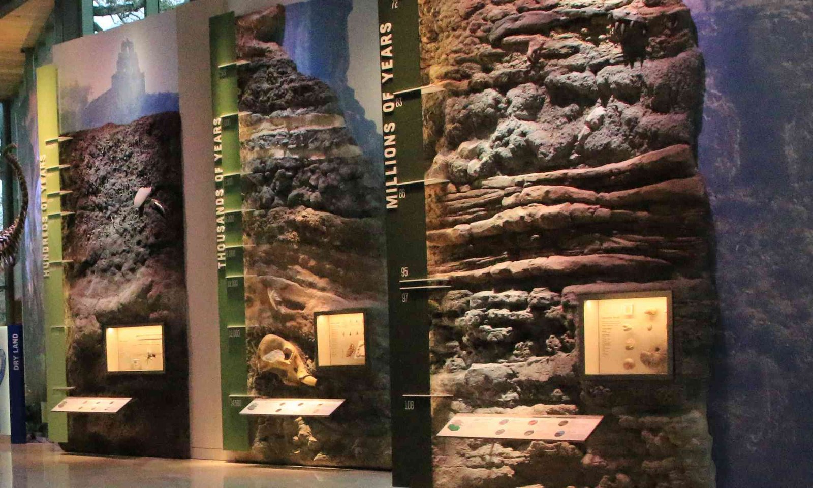 Deep Time Texas Museum