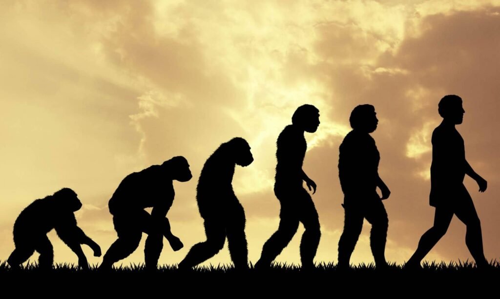 Evolution of Mankind
