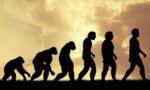 Evolution of Mankind