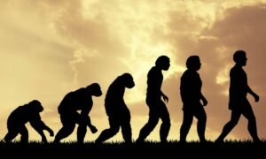 Evolution of Mankind