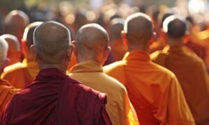 Compassion as a driving Force