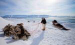 Greenland Hunters