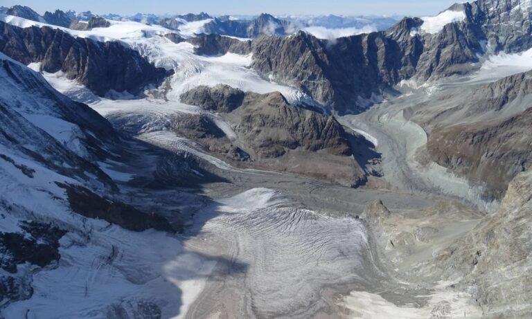 The Alpine Cryosphere