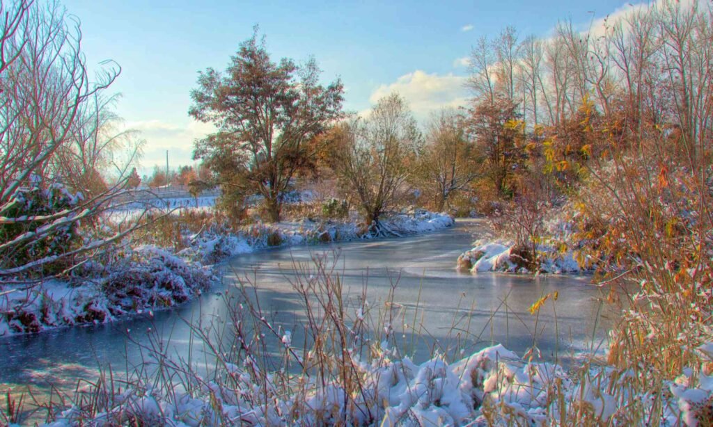 River Snow Ice Trees Water